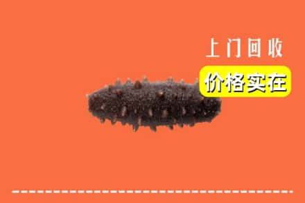 古城区回收海参