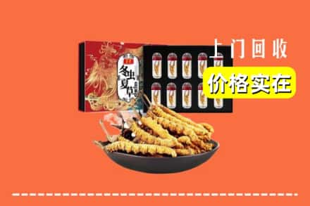 古城区回收虫草